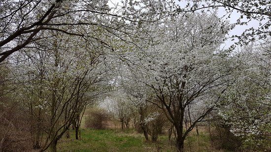 Naucna stezka Kabatuv kopec